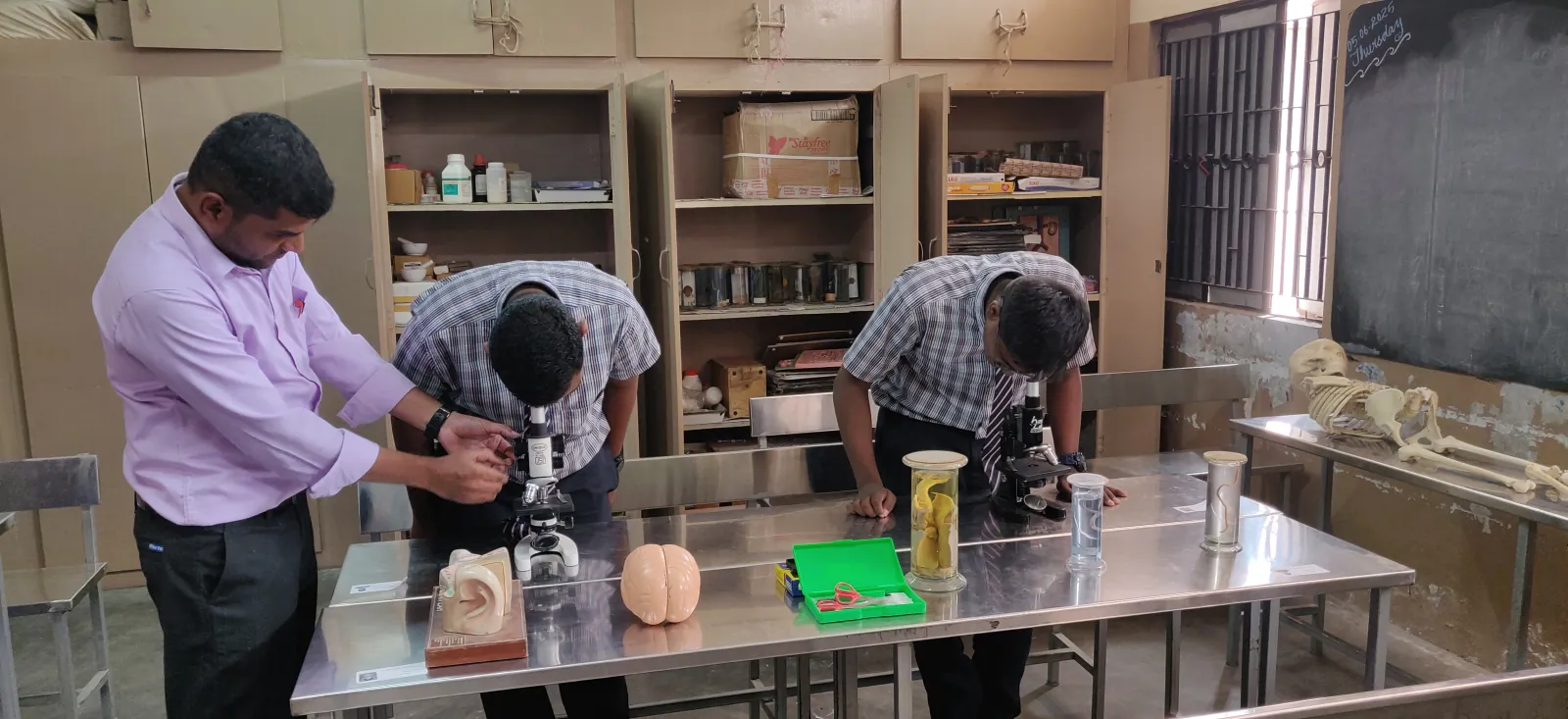 Biology Lab 2